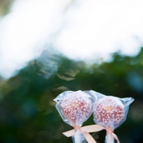 tangled1-sp